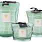 Three Baobab Collection Waves Nazare candles in varying sizes, in green glass containers with a tortoise shell pattern, tied with peppermint-colored ribbons.