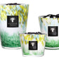 Three Baobab Collection Eden Forest candles with green and yellow gradient glass containers, displayed in ascending size order.