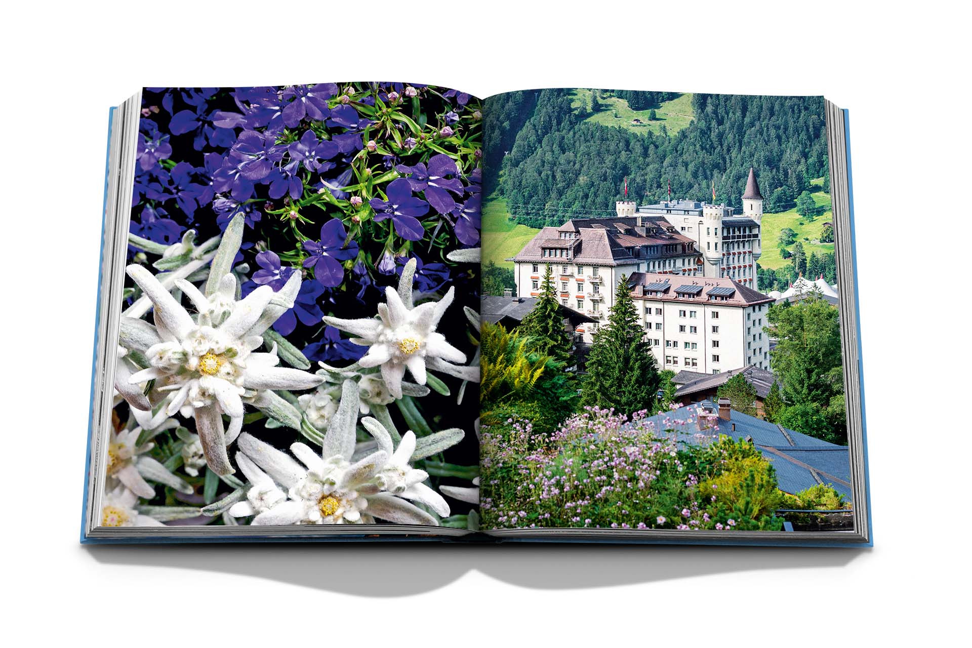An open book displays a close-up of purple and white alpine flowers, epitomizing Alpine chic, on the left page and a scenic view of a hilltop castle within the lush green landscape of Gstaad in the Swiss Alps on the right page. The book is "Gstaad Glam" by Assouline.