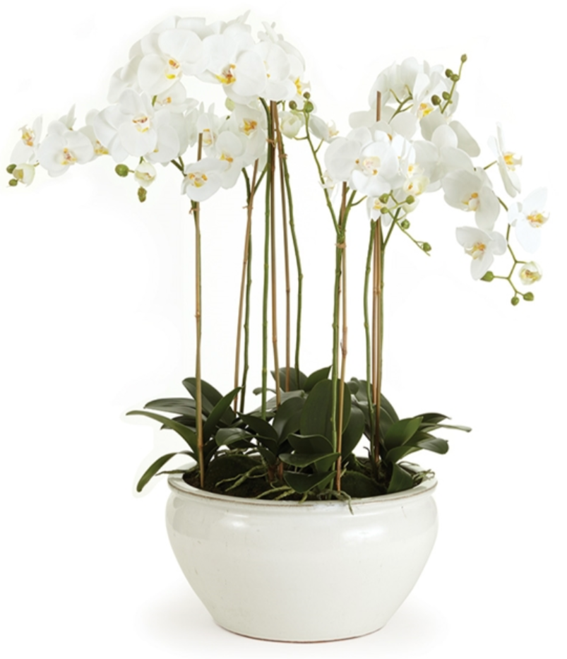 Enhance your space with the Napa Home Barclay Butera Faux Phalaenopsis White Orchid Drop-In, 36". This elegant arrangement from Napa Home & Garden features permanent white orchids with long stems and lush green leaves, housed in a round white pot, reflecting Barclay Butera's signature timeless style.