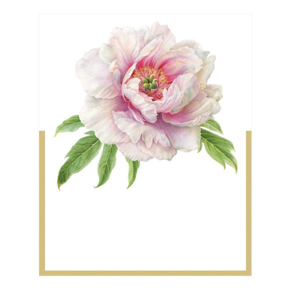 Caspari Blush Die-Cut Place Cards feature a realistic light pink peony with green leaves above a gold-bordered white rectangle, ideal for elegant place cards or die-cut designs on premium cardstock.