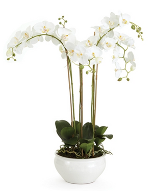 The Napa Home Barclay Butera Faux Phalaenopsis White Orchid Drop-In in Bowl, 30" by Napa Home & Garden features white orchids and green leaves perfectly arranged in a round, white pot, adding timeless sophistication to any space.