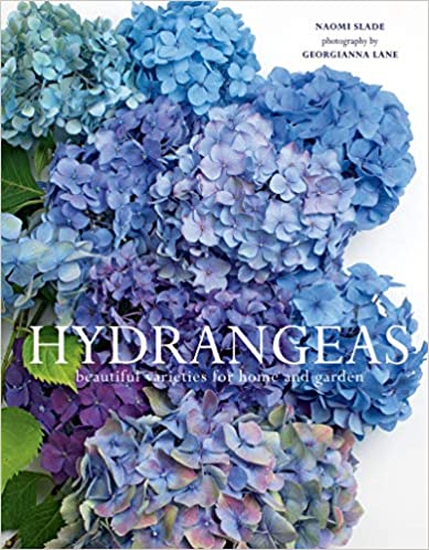 hydrangeas: beautiful varieties for home and garden by georgianna lane