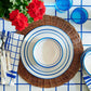 Table set with blue and white striped dishes, Blue Pheasant Montecito Acrylic Ivory 5 Piece Flatware Set, blue glasses, woven placemat, and red flowers on a blue grid-patterned tablecloth.
